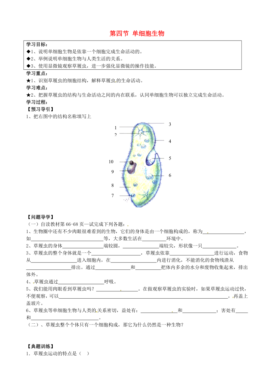 黑龍江省五常市第三中學(xué)七年級生物上冊 第二單元 第二章 第四節(jié) 單細(xì)胞生物導(dǎo)學(xué)案（無答案）（新版）新人教版_第1頁