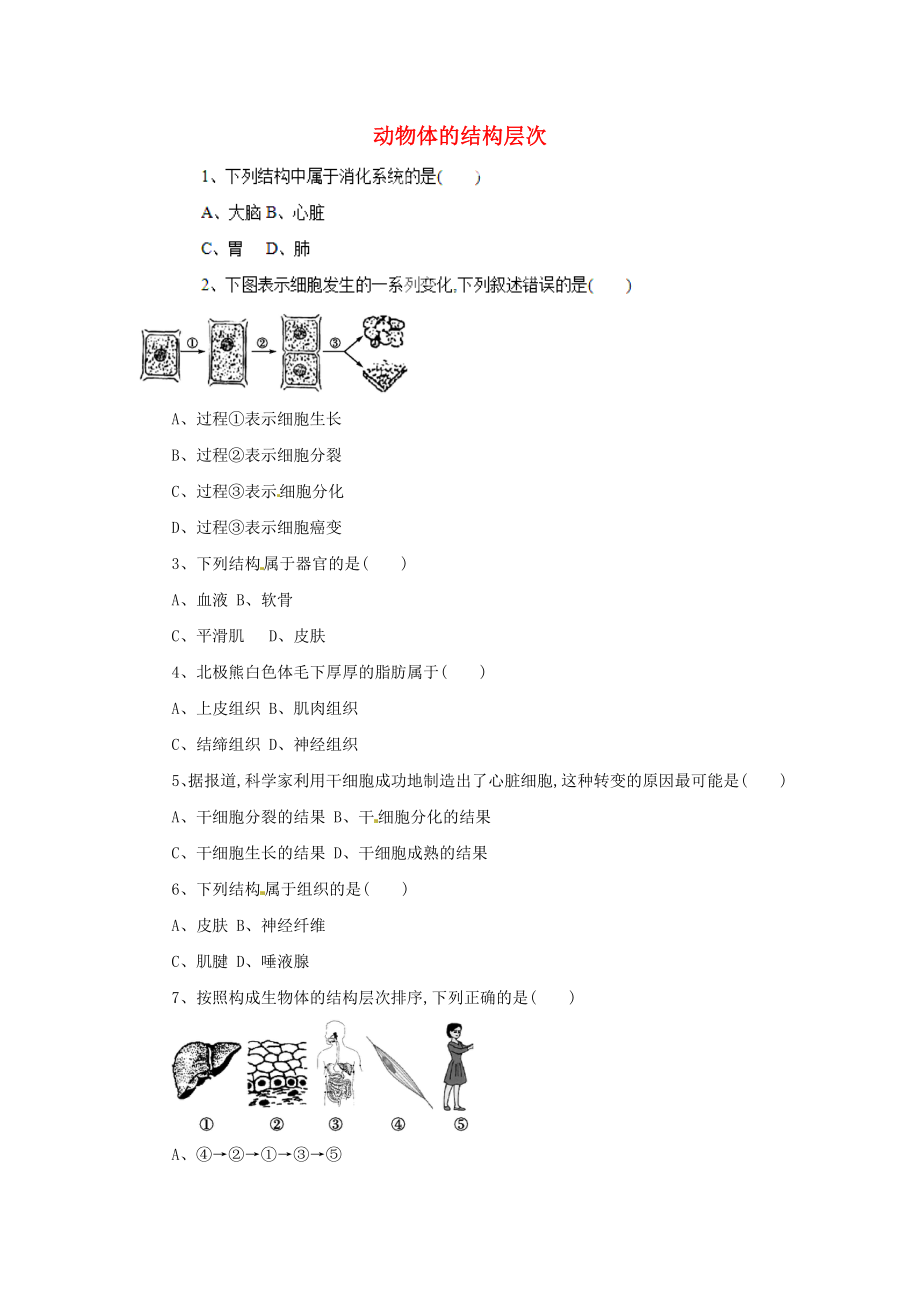 山東省平度市蓼蘭鎮(zhèn)何家店中學(xué)七年級(jí)生物上冊(cè) 4.2 動(dòng)物體的結(jié)構(gòu)層次習(xí)題 （新版）新人教版（通用）_第1頁(yè)