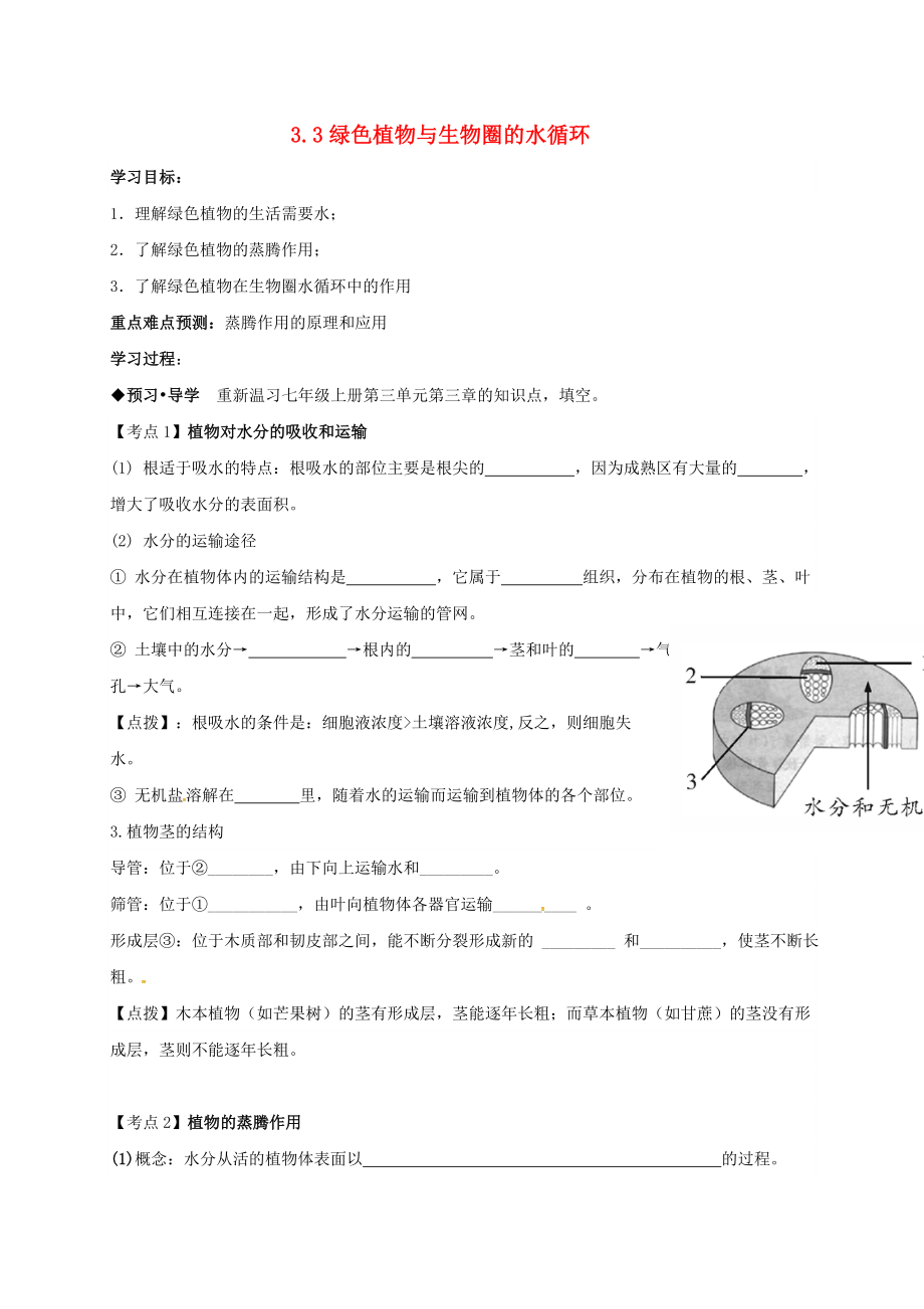 廣東省河源市正德中學2020屆中考生物 綠色植物與生物圈的水循環(huán)復習學案（無答案）_第1頁