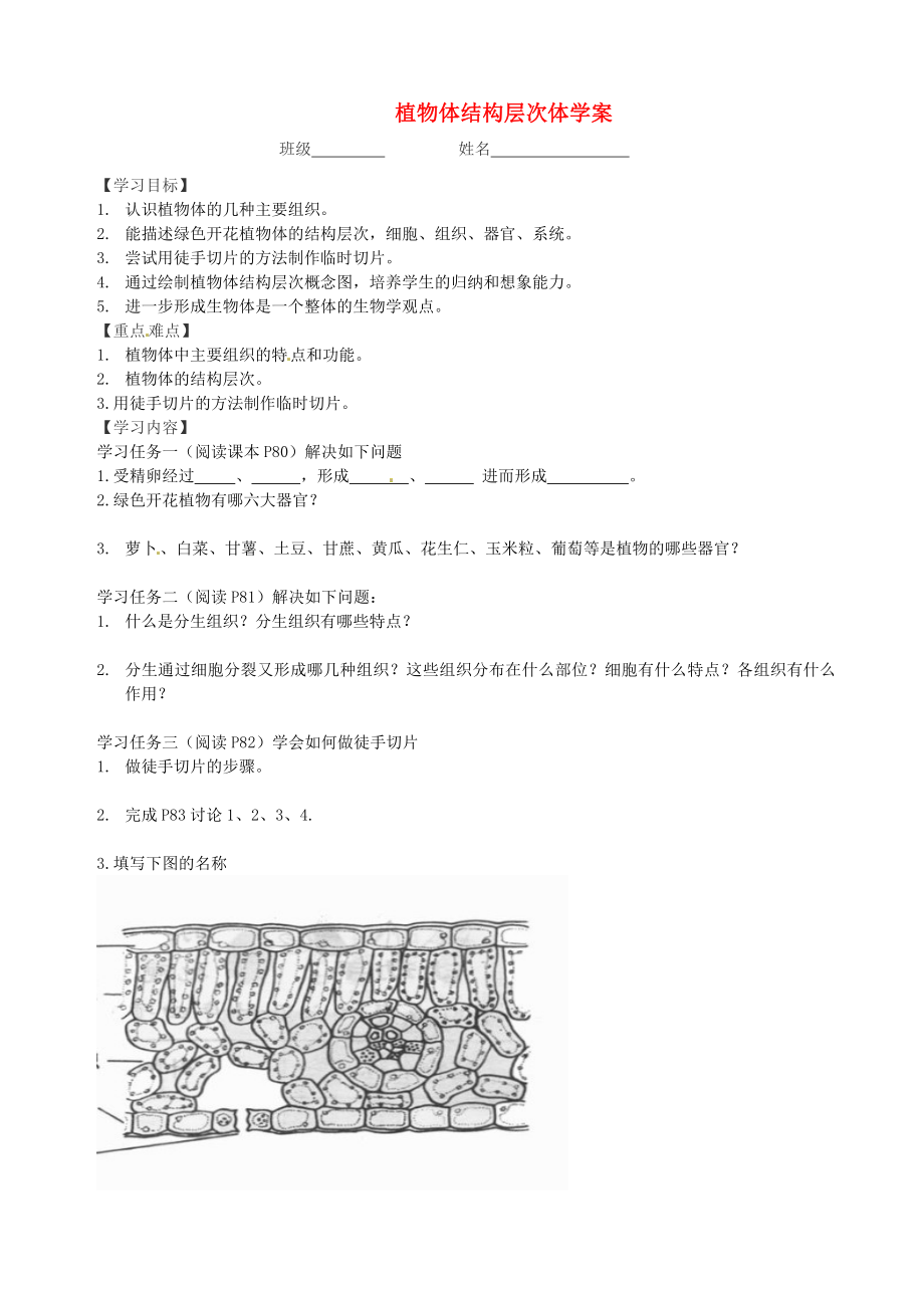 山東省文登市七里湯中學(xué)七年級(jí)生物上冊(cè) 植物體結(jié)構(gòu)層次體學(xué)案（無答案） 魯科版_第1頁