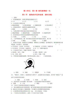 七年級生物上冊 第3單元 生物圈中的綠色植物 第五節(jié) 植物的開花和結(jié)果課時(shí)訓(xùn)練 蘇教版（通用）