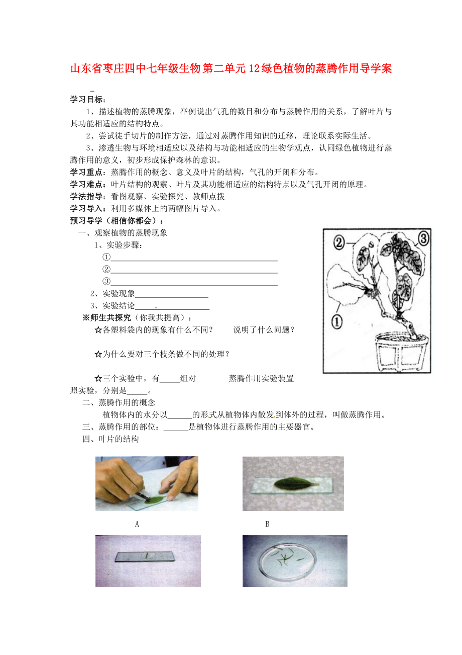 山東省棗莊四中七年級(jí)生物 第二單元12 綠色植物的蒸騰作用導(dǎo)學(xué)案_第1頁(yè)