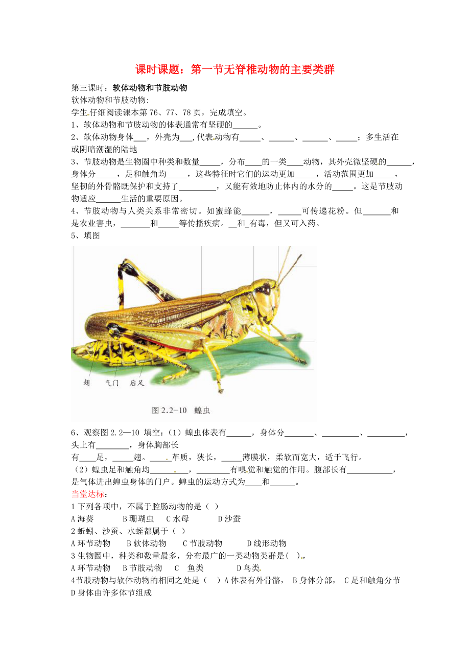 山東省棗莊市嶧城區(qū)吳林街道中學(xué)七年級(jí)生物上冊(cè)《無(wú)脊椎動(dòng)物的主要類群》（第三課時(shí)）學(xué)案（無(wú)答案） 濟(jì)南版_第1頁(yè)