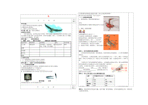 內(nèi)蒙古通遼市科左中旗寶龍山中學(xué)八年級生物上冊 第五單元 第一章 第6節(jié) 鳥導(dǎo)學(xué)案（無答案）（新版）新人教版