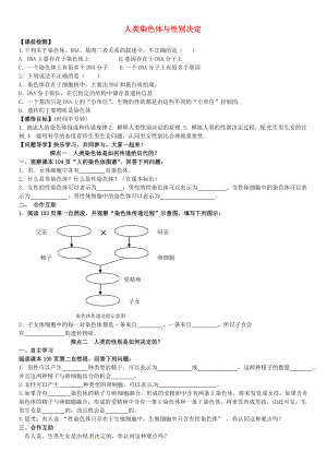 山東省高密市銀鷹文昌中學八年級生物上冊 4.4.2 人類染色體與性別決定學案（無答案） 濟南版（通用）