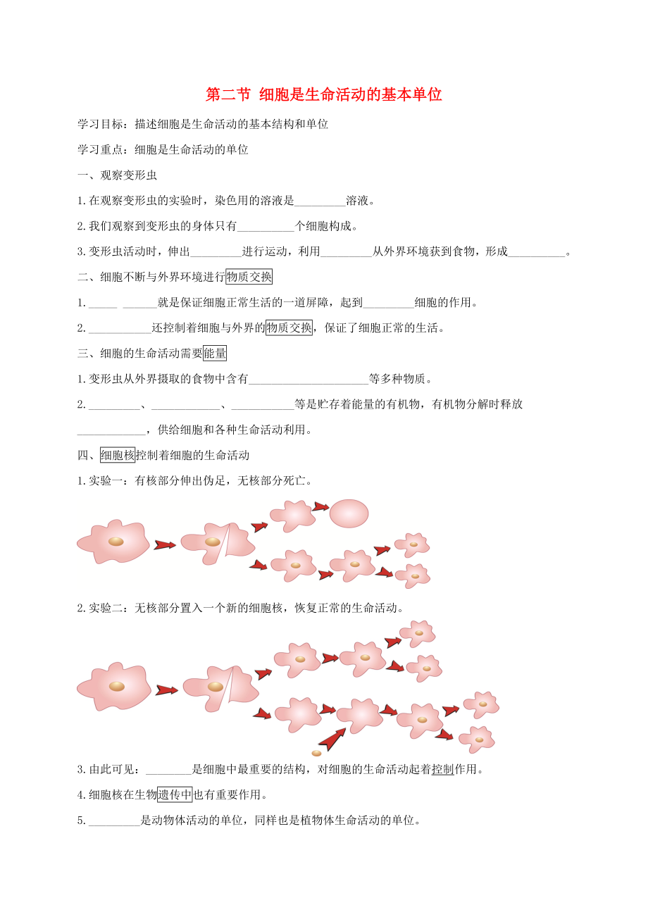 七年級生物上冊 第2單元 生物體的結構 第3章 細胞 第2節(jié) 細胞是生命活動的基本單位導學案（新版）北師大版_第1頁