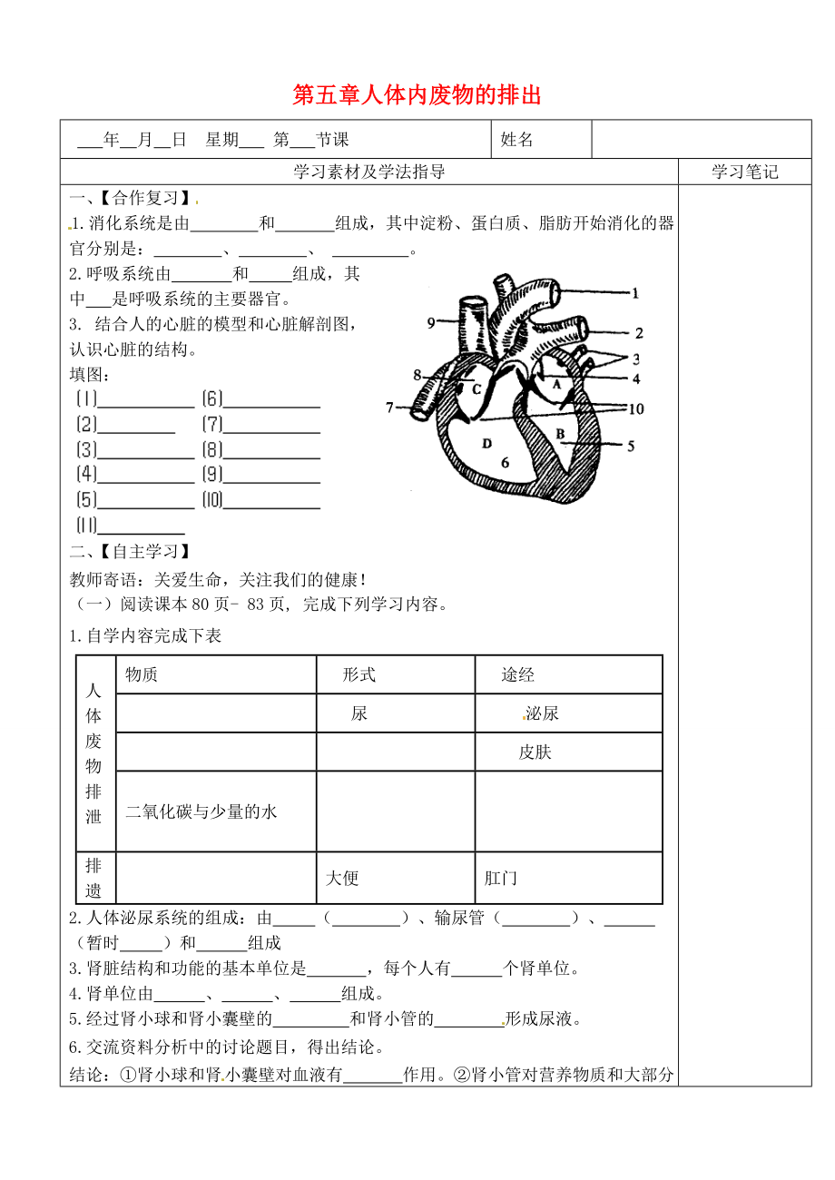 內(nèi)蒙古鄂爾多斯東勝區(qū)正東中學七年級生物下冊 第四單元 第五章 人體內(nèi)廢物的排出學案2（無答案） 新人教版（通用）_第1頁