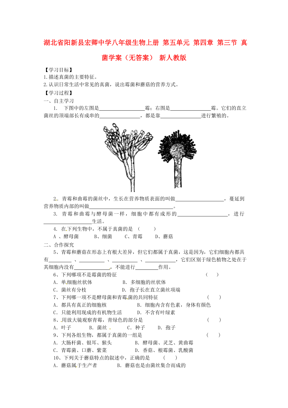 湖北省陽新縣宏卿中學八年級生物上冊 第五單元 第四章 第三節(jié) 真菌學案（無答案） 新人教版_第1頁