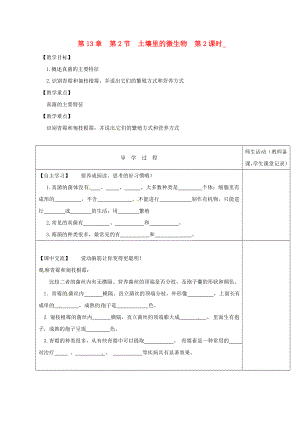 江蘇省淮安市七年級(jí)生物下冊(cè) 第13章 第2節(jié) 土壤里的微生物（第2課時(shí)）教學(xué)案（無答案）（新版）蘇科版（通用）