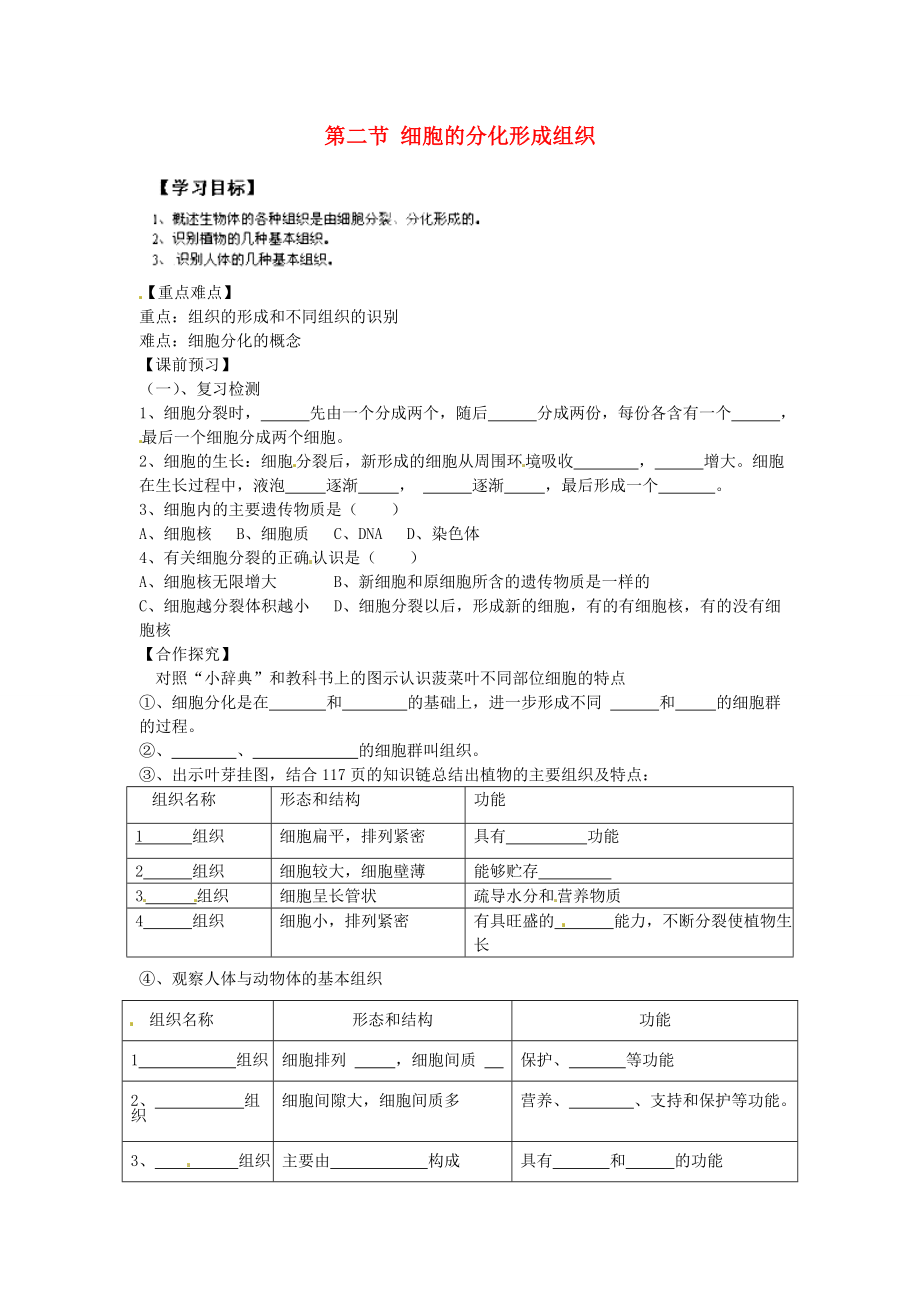 重慶市江津五中七年級(jí)生物上冊 第二章 生物體的結(jié)構(gòu)層次 第二節(jié) 細(xì)胞的分化形成組織學(xué)案（無答案）_第1頁