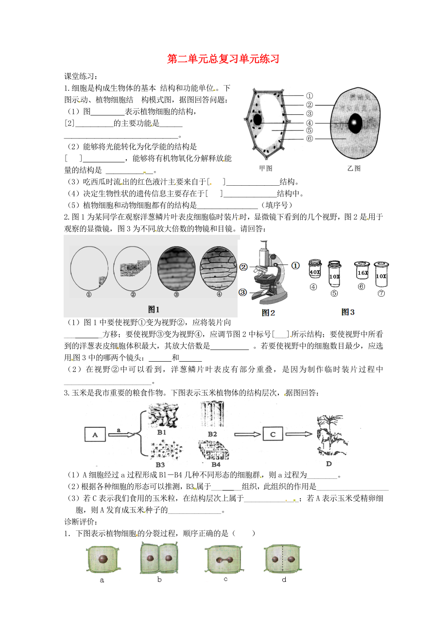 山東省聊城市文軒中學(xué)七年級(jí)生物上冊(cè) 第二單元總復(fù)習(xí)單元練習(xí)（無答案） 魯科版_第1頁