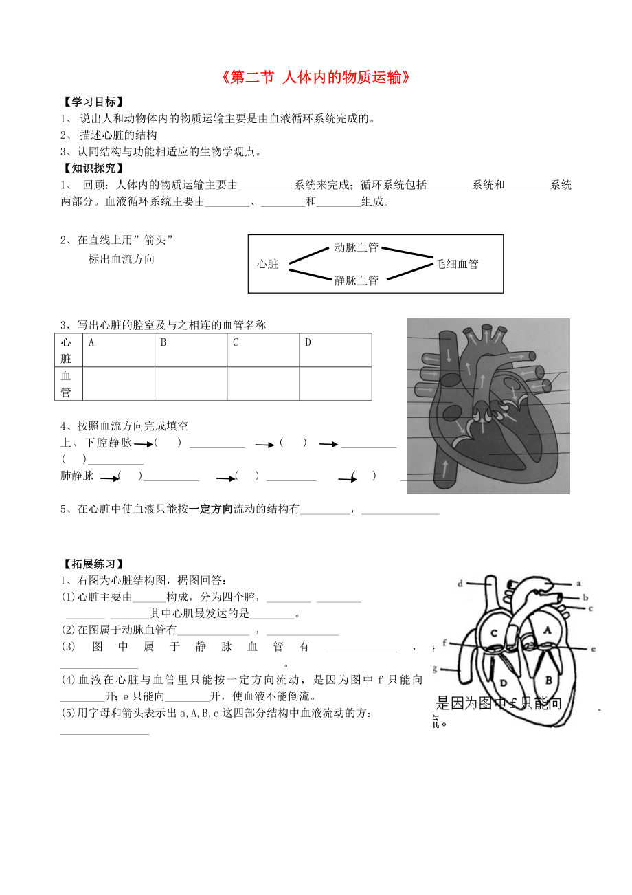 北京市順義區(qū)楊鎮(zhèn)第二中學七年級生物下冊 第五章 第二節(jié) 心臟的結(jié)構(gòu)學案（無答案） 北京課改版（通用）_第1頁