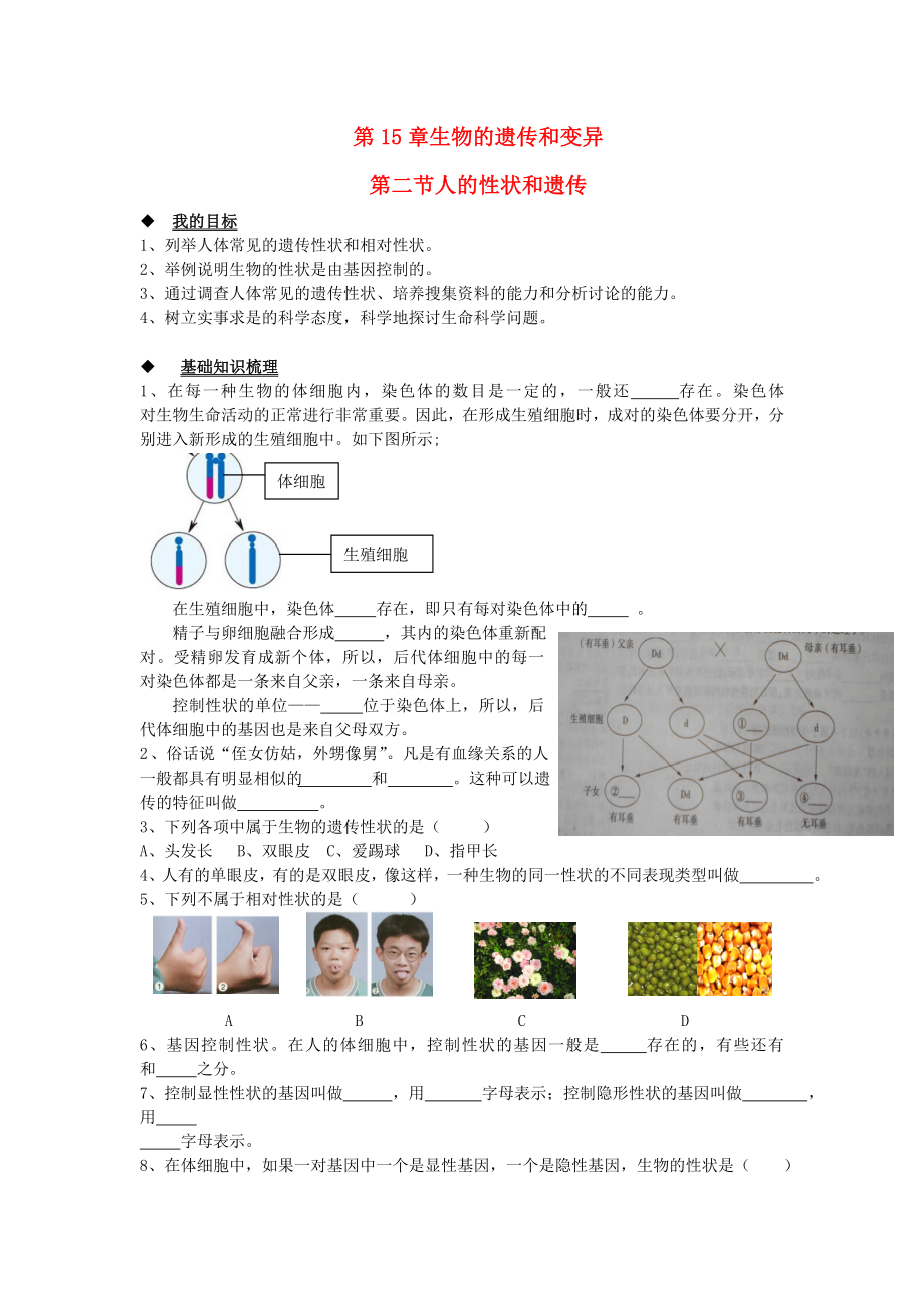 八年生物級上冊 第5單元 生物的生殖、發(fā)育與遺傳 第二節(jié) 人的性狀和遺傳快樂學案（無答案） 蘇教版_第1頁