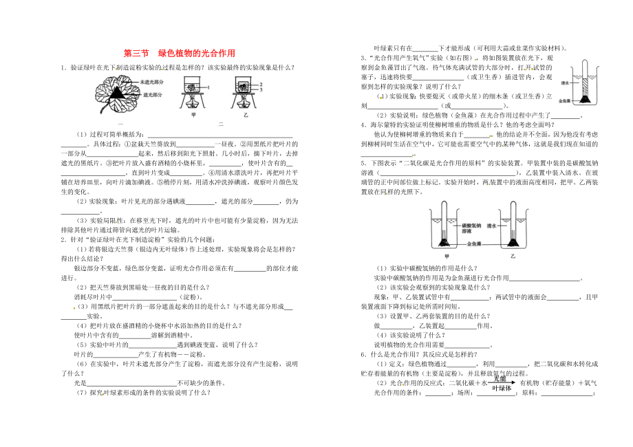 山東省武城縣第二中學(xué)七年級(jí)生物上冊(cè) 2.1.3 綠色植物的光合作用練習(xí)（無(wú)答案）（新版）濟(jì)南版_第1頁(yè)