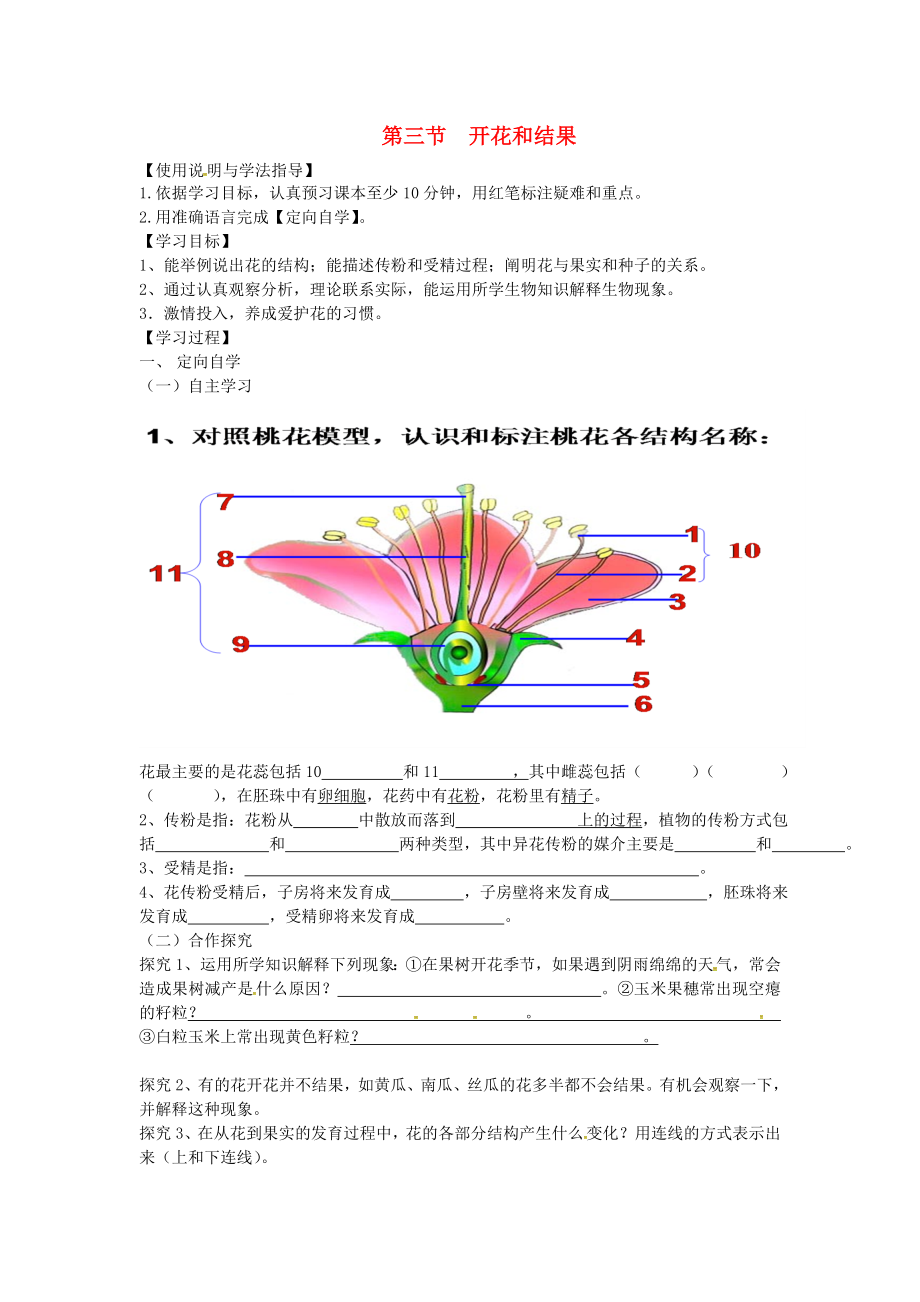 湖南省桑植縣七年級生物上冊 第三單元 第二章 第三節(jié) 開花和結(jié)果導(dǎo)學(xué)案（無答案）（新版）新人教版（通用）_第1頁