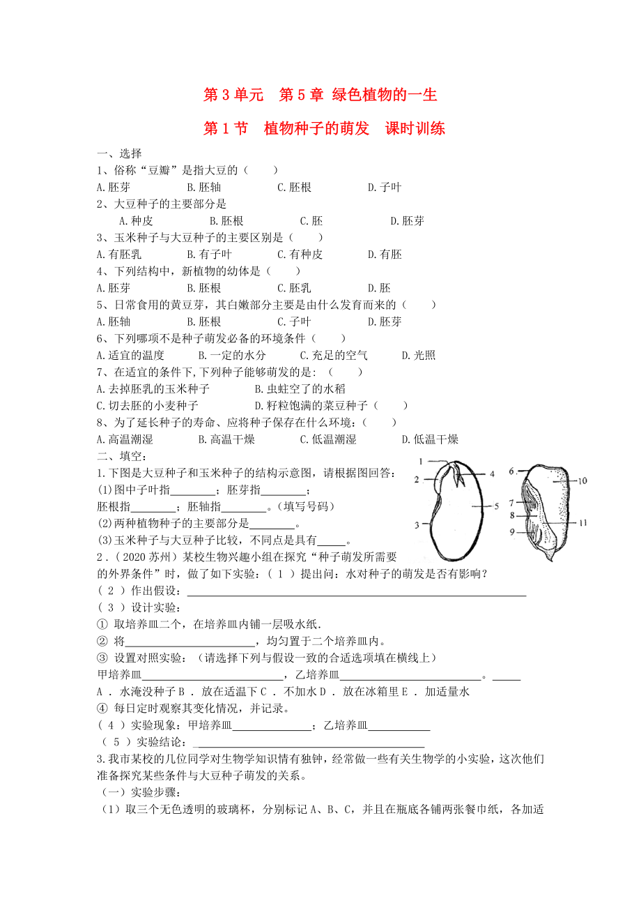 七年级生物上册 第3单元 生物圈中的绿色植物 第一节 植物种子的萌发课时训练 苏教版（通用）_第1页