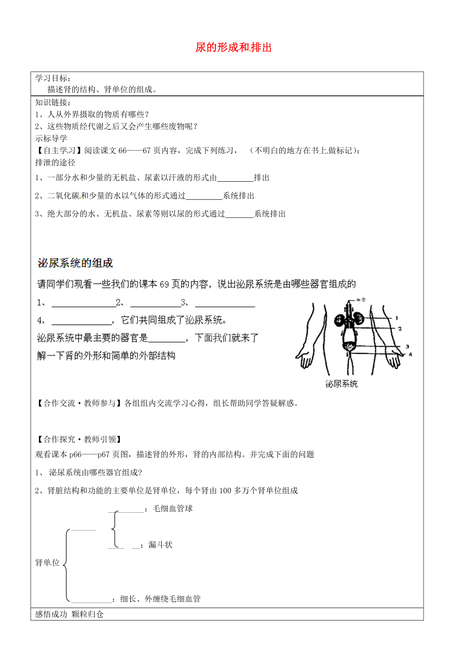 山東省濟(jì)南市長(zhǎng)清區(qū)雙泉中學(xué)七年級(jí)生物下冊(cè) 尿的形成和排出學(xué)案（無(wú)答案） 新人教版_第1頁(yè)