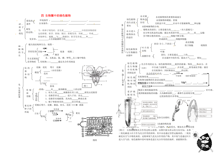 湖北省宜昌市2020屆中考生物會考專題 生物圈中的綠色植物復(fù)習(xí)學(xué)案（無答案）_第1頁