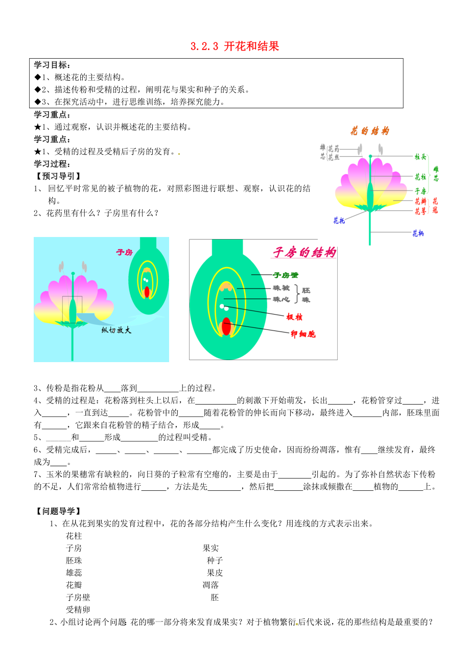 黑龍江省五常市第三中學七年級生物上冊 3.2.3 開花和結果導學案（無答案） 新人教版_第1頁