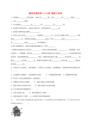 河北省石家庄市七年级生物下册 4.3和4.4练习（无答案）（新版）新人教版（通用）