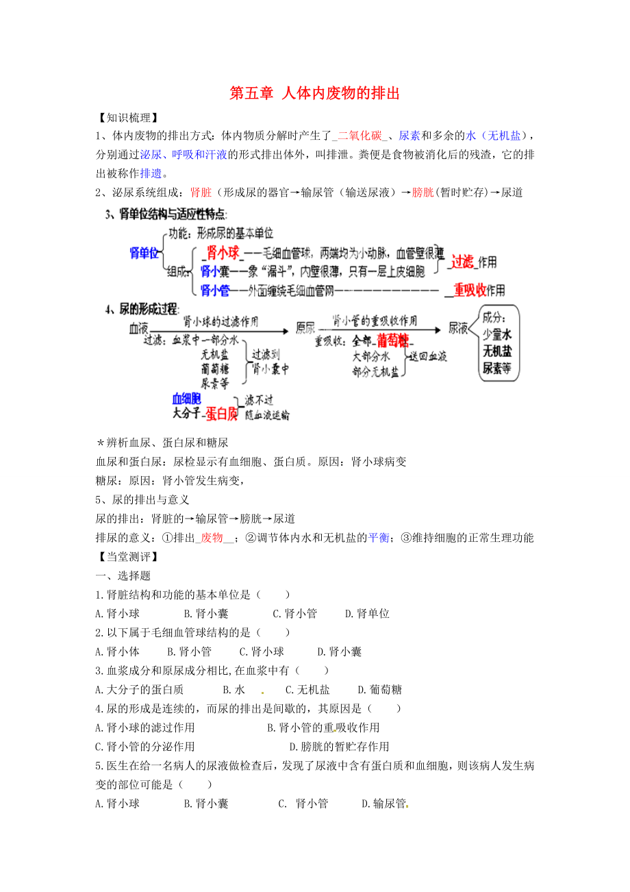 內(nèi)蒙古鄂爾多斯東勝區(qū)正東中學七年級生物下冊 第五章 人體內(nèi)廢物的排出復習學案（無答案） 新人教版（通用）_第1頁