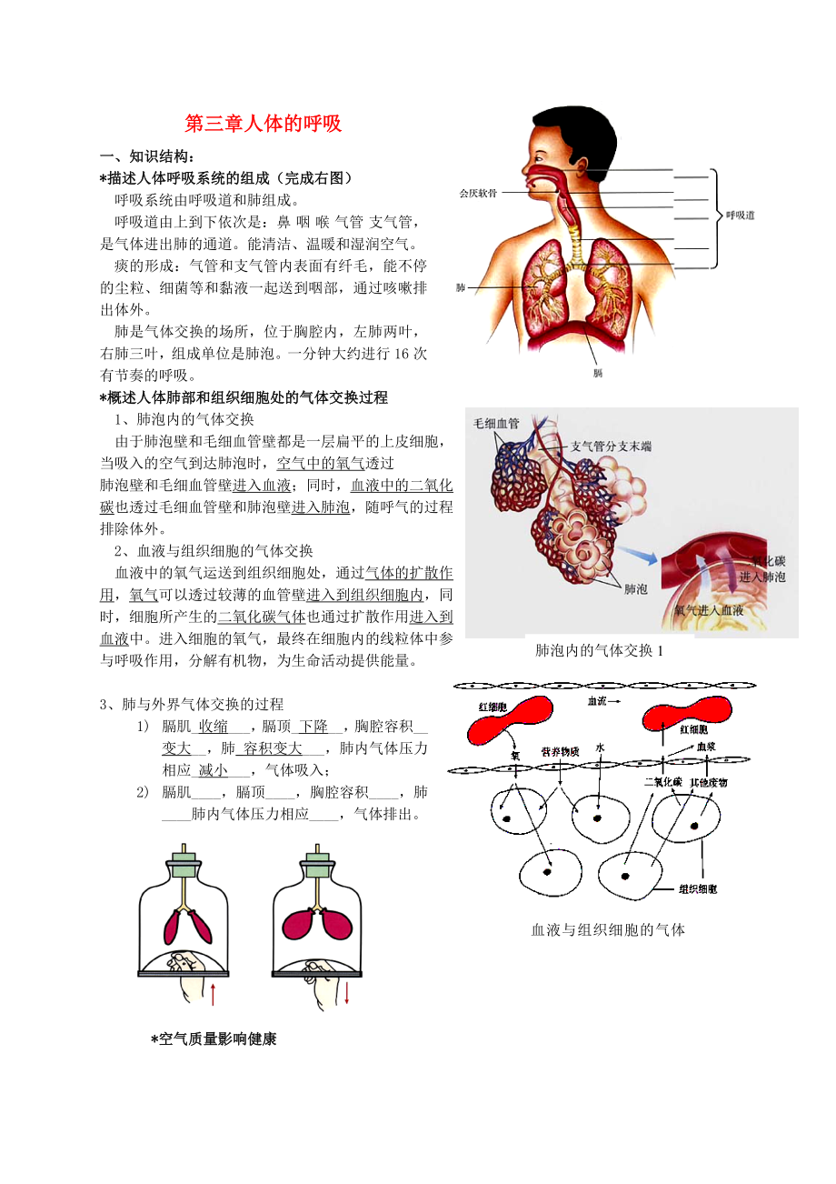 山東省泰安市新泰七年級(jí)生物下冊(cè) 第三章 人體的呼吸復(fù)習(xí)學(xué)案（無答案） 新人教版_第1頁