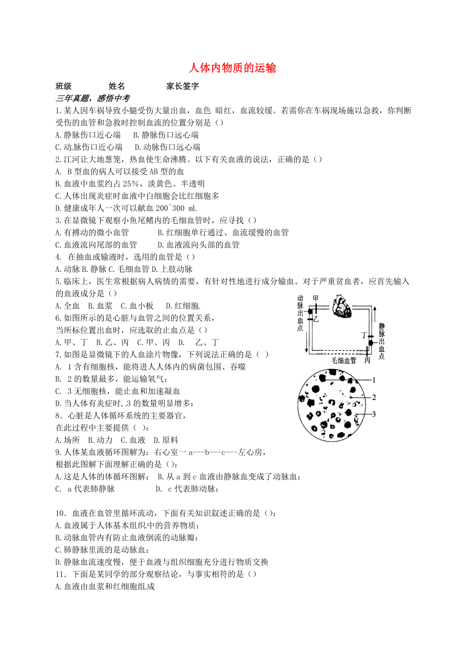 山東省膠南市王臺鎮(zhèn)中心中學(xué)七年級生物下冊《第四單元 第四章 人體內(nèi)物質(zhì)的運(yùn)輸》復(fù)習(xí)題（無答案）（新版）新人教版_第1頁