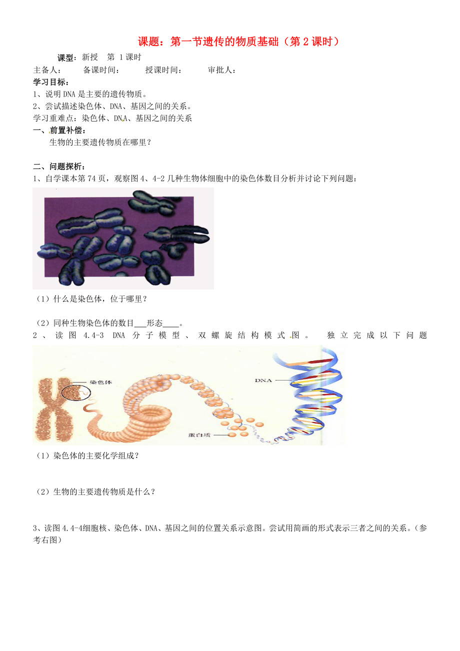 山東省東營市第二中學(xué)八年級生物 《第一節(jié)遺傳的物質(zhì)基礎(chǔ)》（第二課時）學(xué)案（無答案）_第1頁