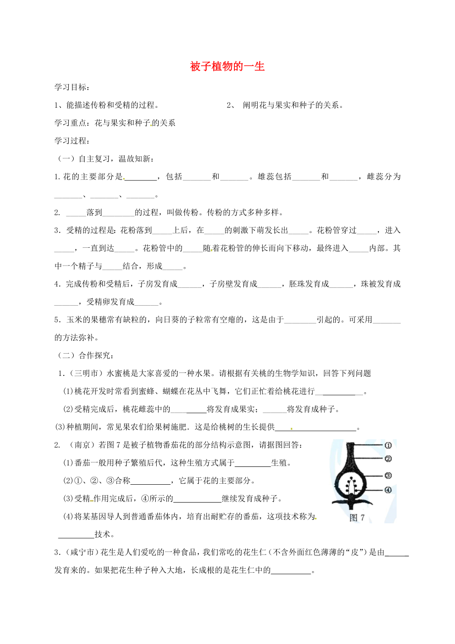 山東省淄博市高青縣第三中學(xué)九年級(jí)生物下冊(cè) 被子植物的一生導(dǎo)學(xué)案2（無答案） 魯教版（通用）_第1頁