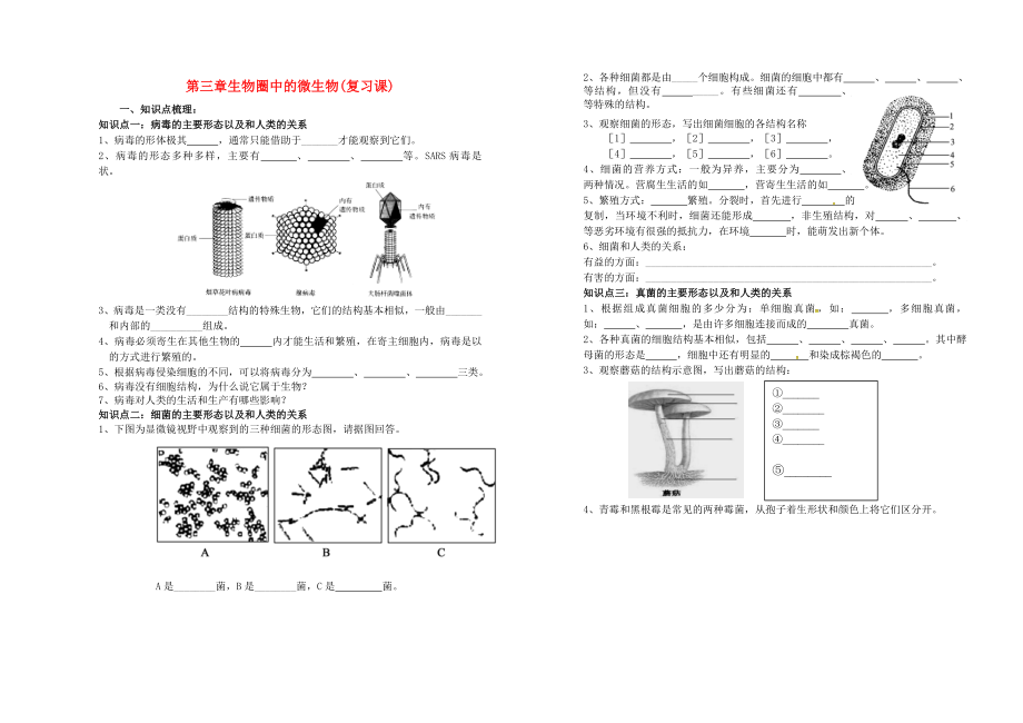 山東省武城縣第二中學(xué)七年級生物上冊 第二單元 第三章 生物圈中的微生物復(fù)習(xí)學(xué)案（無答案）（新版）濟(jì)南版_第1頁