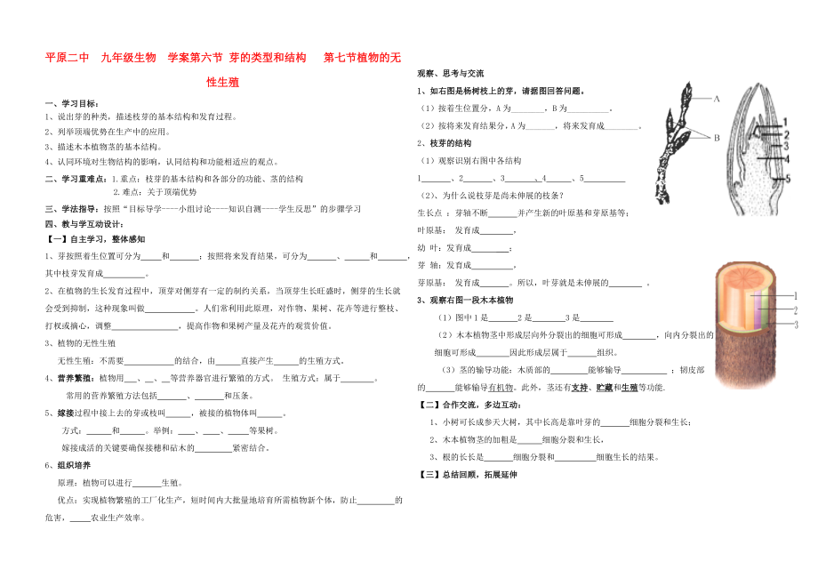 山東省平原二中八年級生物上冊 第六、七節(jié) 芽的結(jié)構(gòu)和類型學(xué)案 濟(jì)南版_第1頁