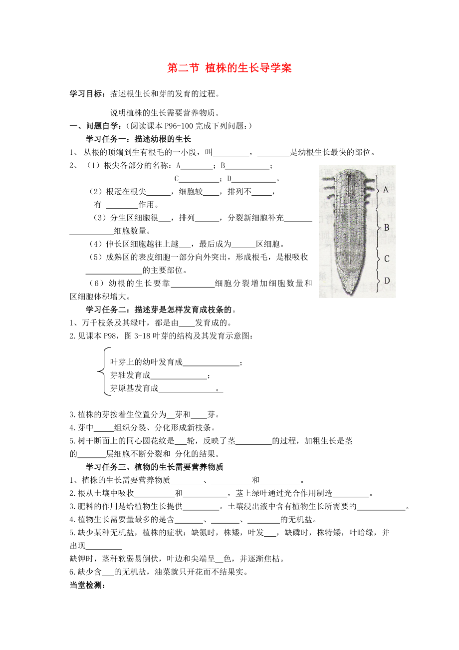 七年级生物上册 第二节 植株的生长导学案（无答案） 新人教版_第1页