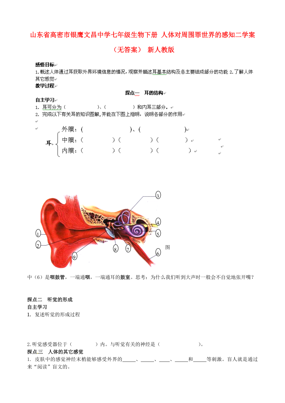 山東省高密市銀鷹文昌中學(xué)七年級(jí)生物下冊(cè) 人體對(duì)周圍罪世界的感知二學(xué)案（無(wú)答案） 新人教版_第1頁(yè)