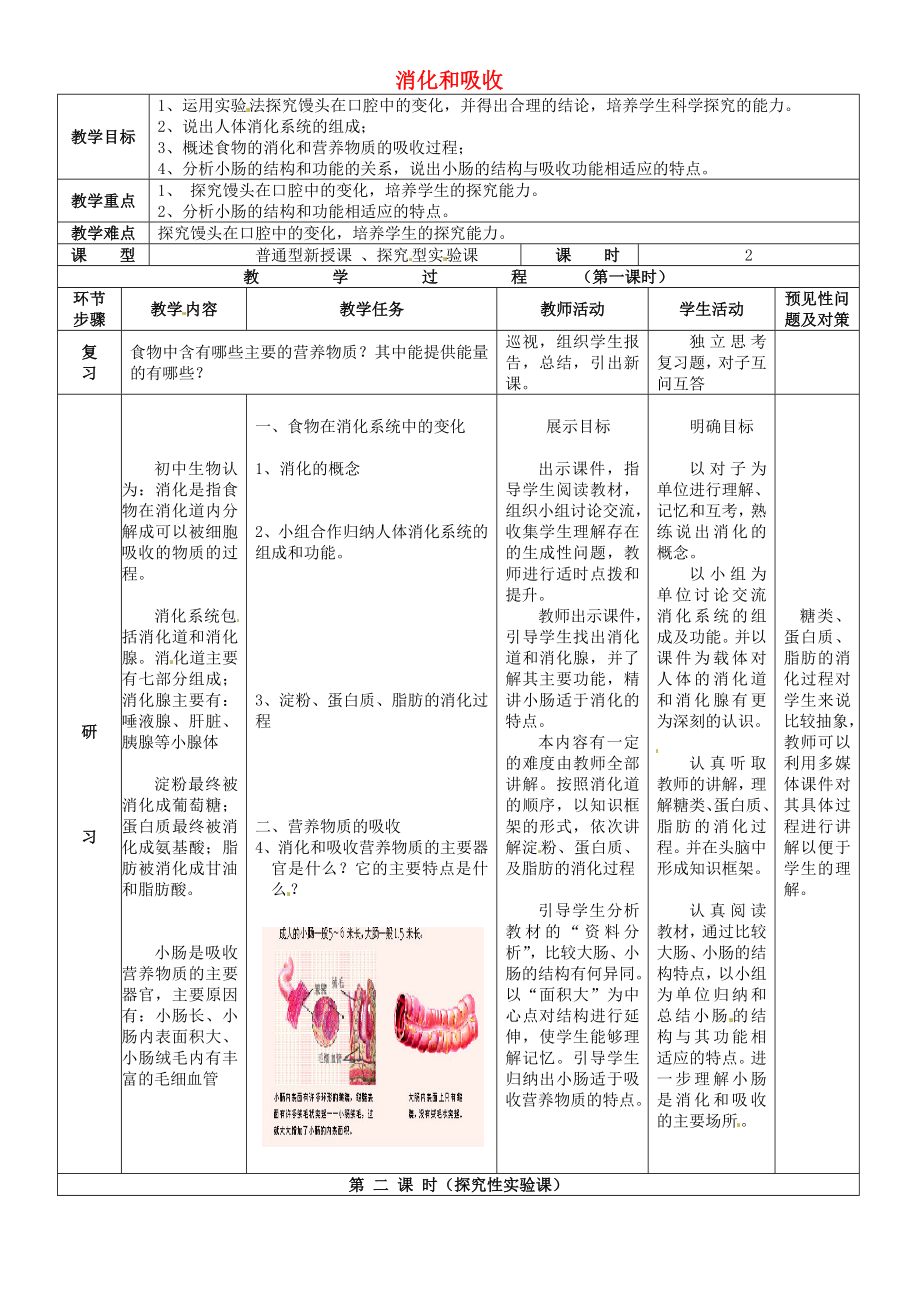 吉林省通化市外國(guó)語中學(xué)七年級(jí)生物下冊(cè) 第四單元 第二章 第二節(jié) 消化和吸收教案 新人教版_第1頁