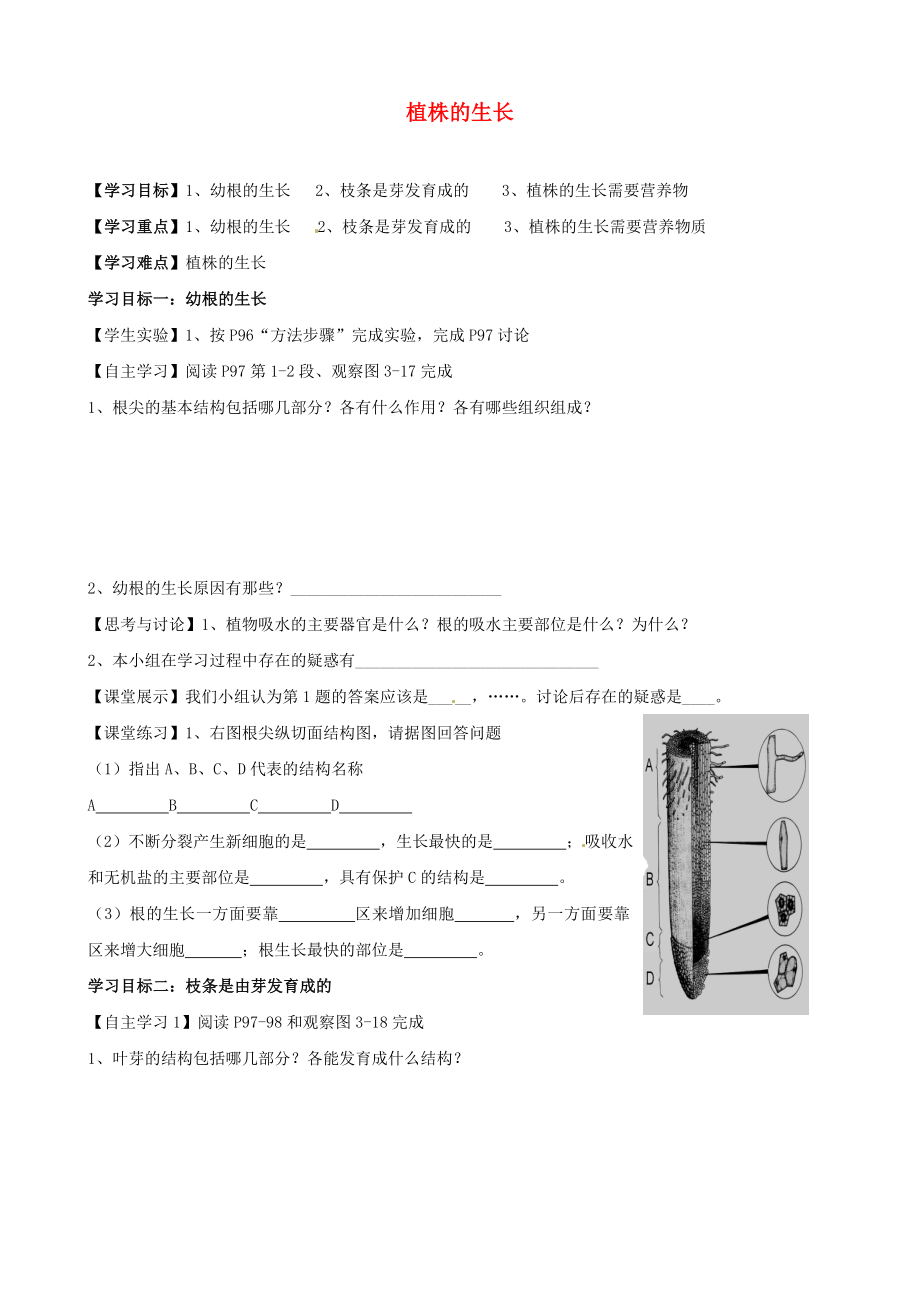 湖北省襄陽四十七中七年級生物上冊 植株的生長學案（無答案） 新人教版_第1頁