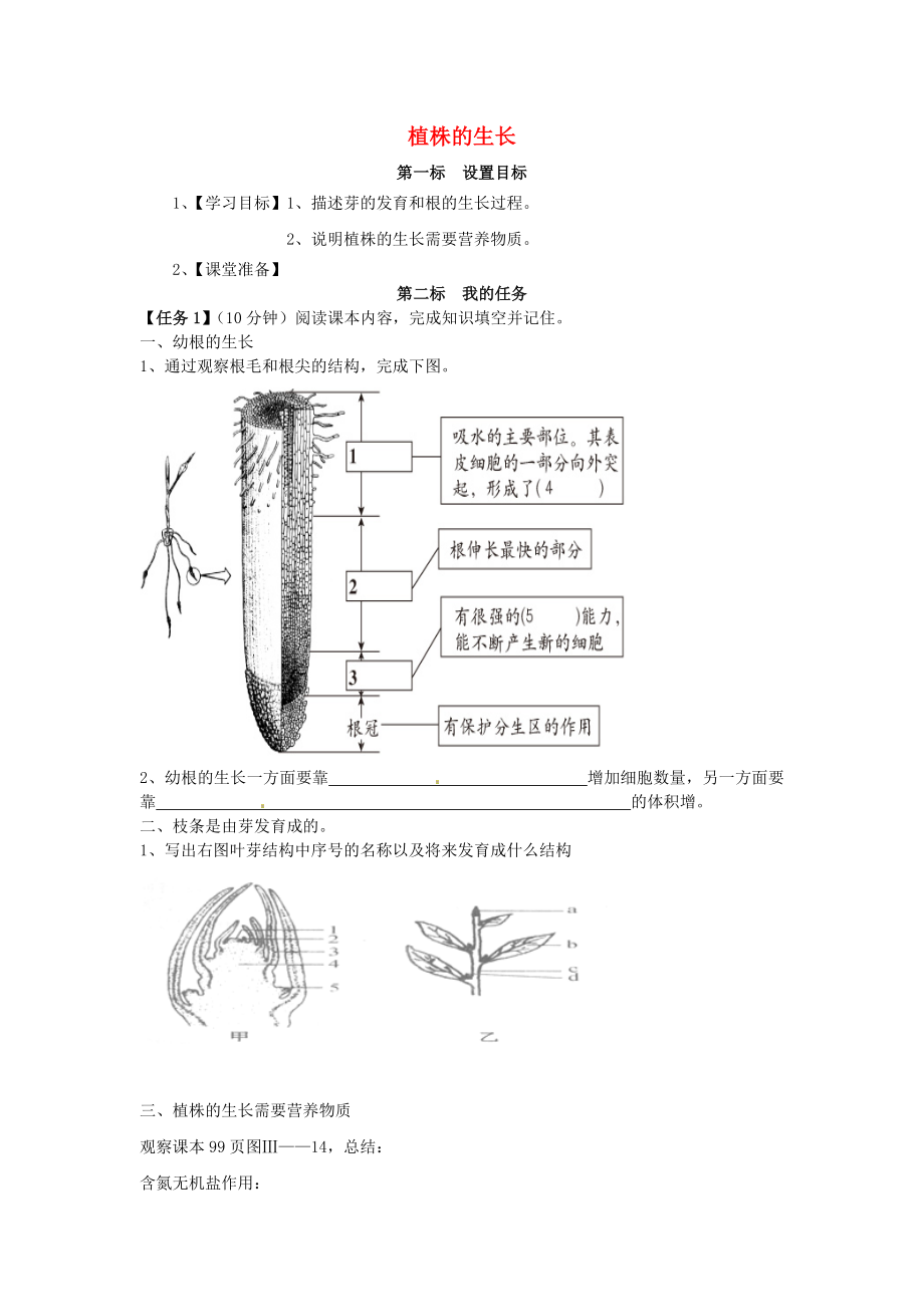 云南省昆明市西山區(qū)團(tuán)結(jié)民族中學(xué)七年級生物上冊 3.2.2 植物的生長學(xué)案（無答案）（新版）新人教版_第1頁