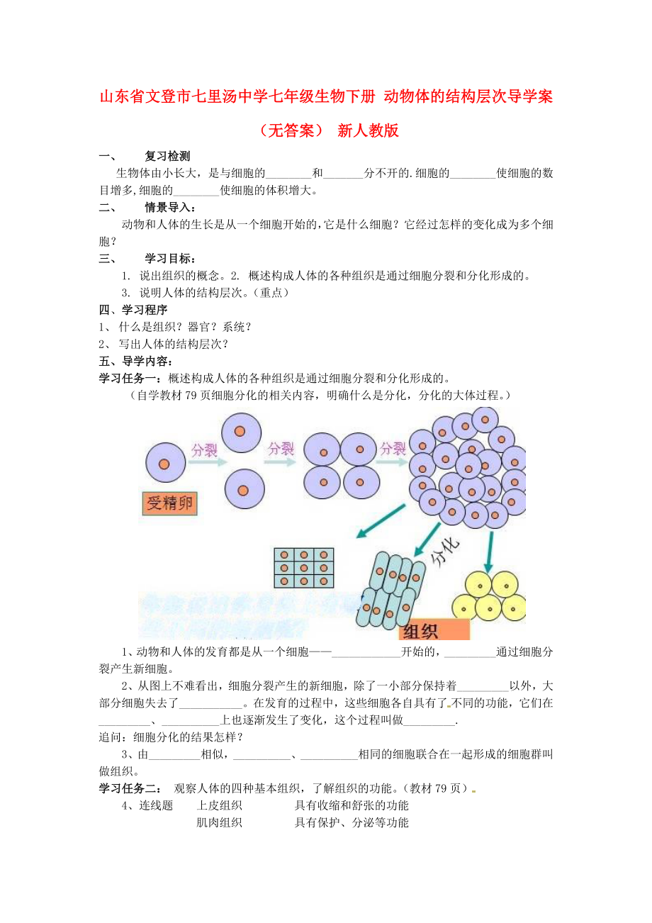 山東省文登市七里湯中學(xué)七年級(jí)生物下冊(cè) 動(dòng)物體的結(jié)構(gòu)層次導(dǎo)學(xué)案（無答案） 新人教版_第1頁