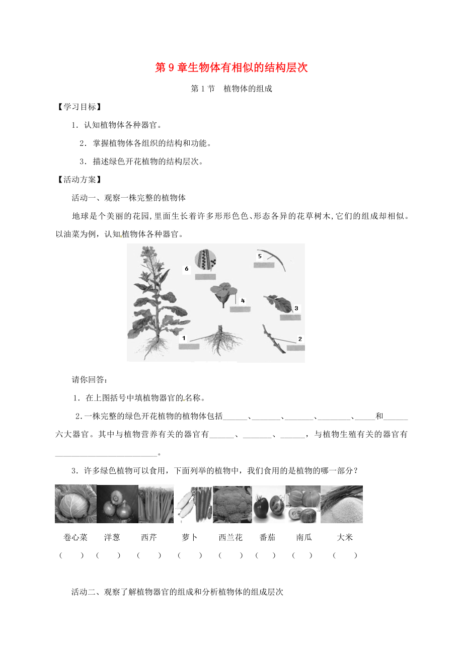 江蘇省如皋市七年級生物下冊 第9章 生物體有相似的結(jié)構(gòu)層次導(dǎo)學(xué)案（無答案）蘇科版（通用）_第1頁