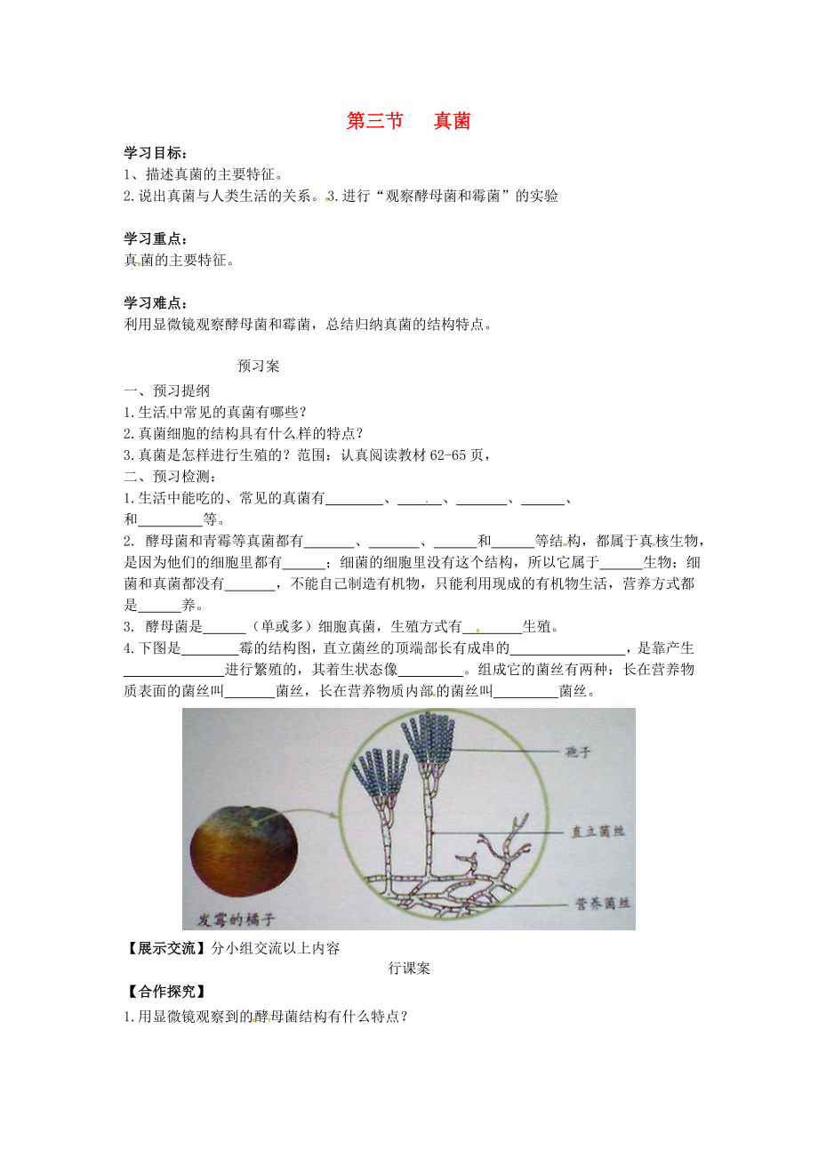 八年級生物上冊 第五單元 第四章 第三節(jié) 真菌學(xué)案（無答案）（新版）新人教版_第1頁