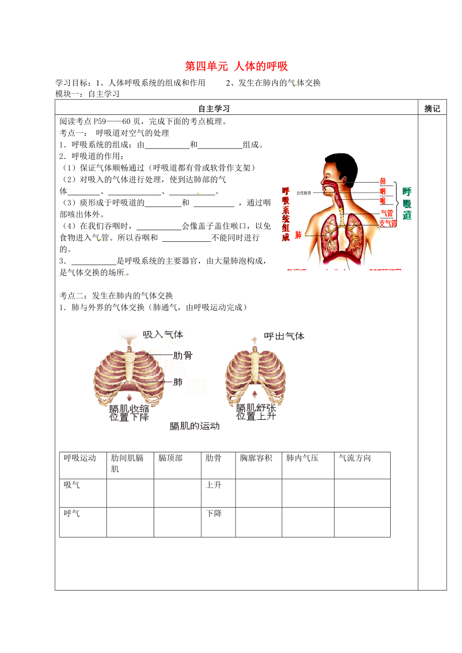 廣東省河源中國(guó)教育學(xué)會(huì)中英文實(shí)驗(yàn)學(xué)校七年級(jí)生物下冊(cè) 4.3 人體的呼吸講學(xué)稿（無(wú)答案）（新版）新人教版_第1頁(yè)