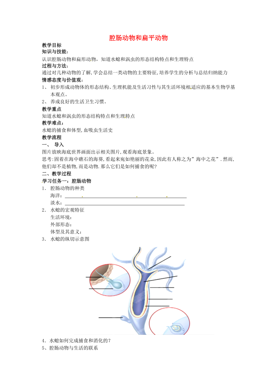 湖北省武漢為明實驗學校八年級生物上冊 第五單元 第一章 第一節(jié) 腔腸動物和扁平動物導學案（無答案）（新版）新人教版_第1頁