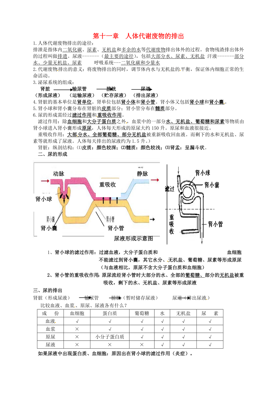 河南省虞城縣第一初級(jí)中學(xué)七年級(jí)生物下冊(cè) 第11章 人體代謝廢物的排出提綱 北師大版_第1頁