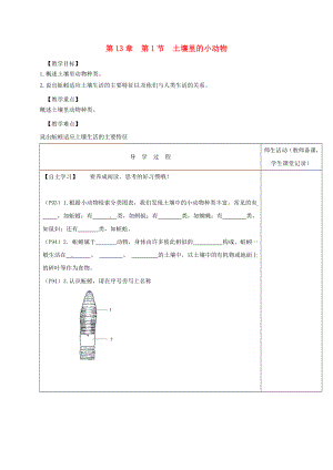 江蘇省淮安市七年級(jí)生物下冊(cè) 第13章 第1節(jié) 土壤里的小動(dòng)物教學(xué)案（無(wú)答案）（新版）蘇科版（通用）