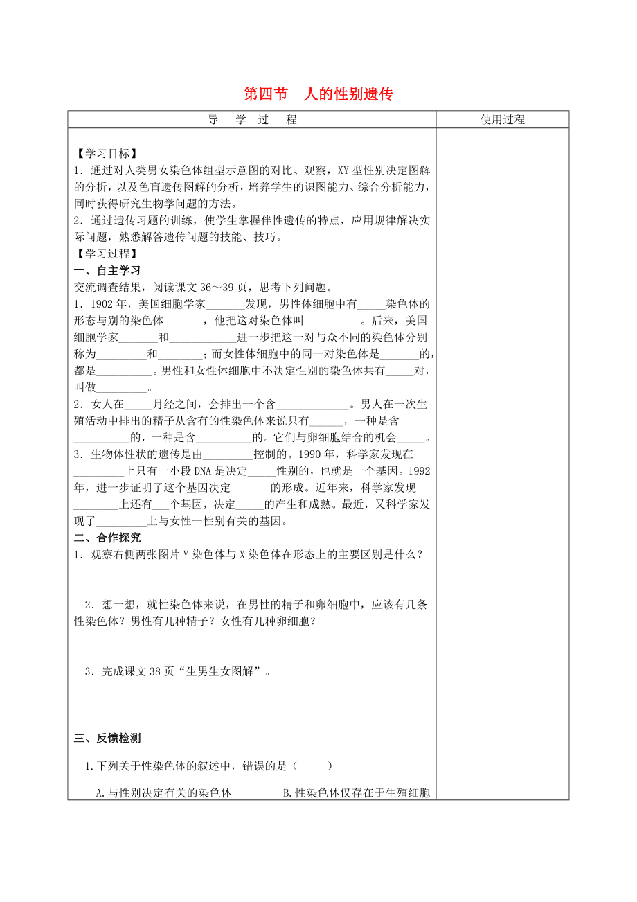 山東省泰安市新泰八年級生物下冊 第二章 第四節(jié) 人的性別遺傳學案（無答案） 新人教版_第1頁