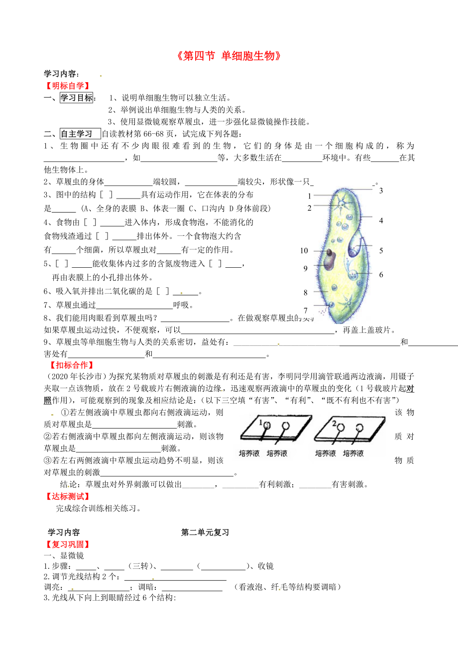 山東省肥城市湖屯鎮(zhèn)初級(jí)中學(xué)七年級(jí)生物上冊(cè) 第二單元 第二章《第四節(jié) 單細(xì)胞生物》導(dǎo)學(xué)案（無答案） 新人教版_第1頁