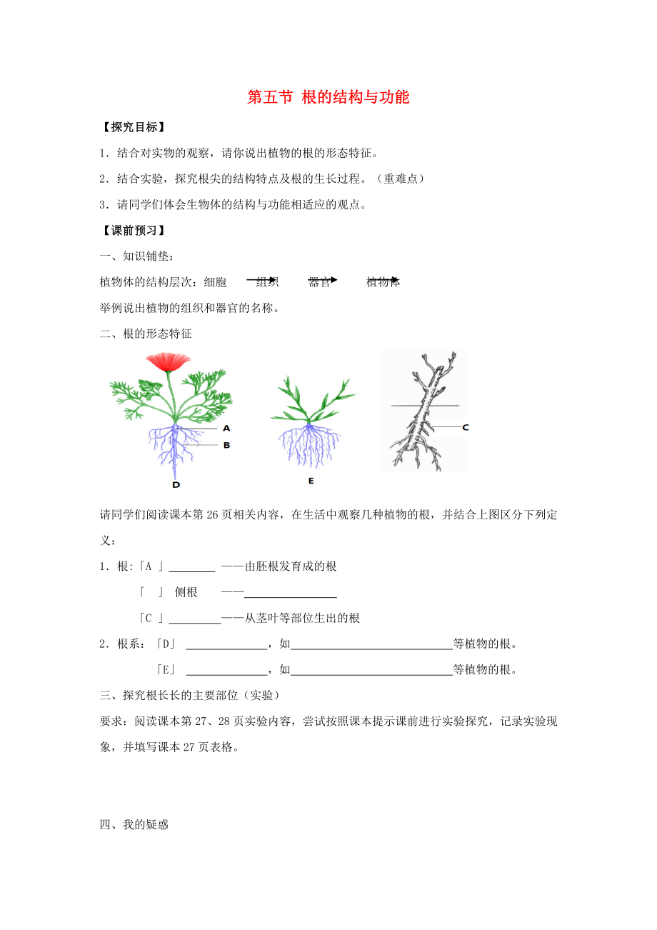 八年級生物上冊 第四單元 第一章 第5節(jié)《根的結(jié)構(gòu)與功能》導學案1（無答案）（新版）濟南版_第1頁