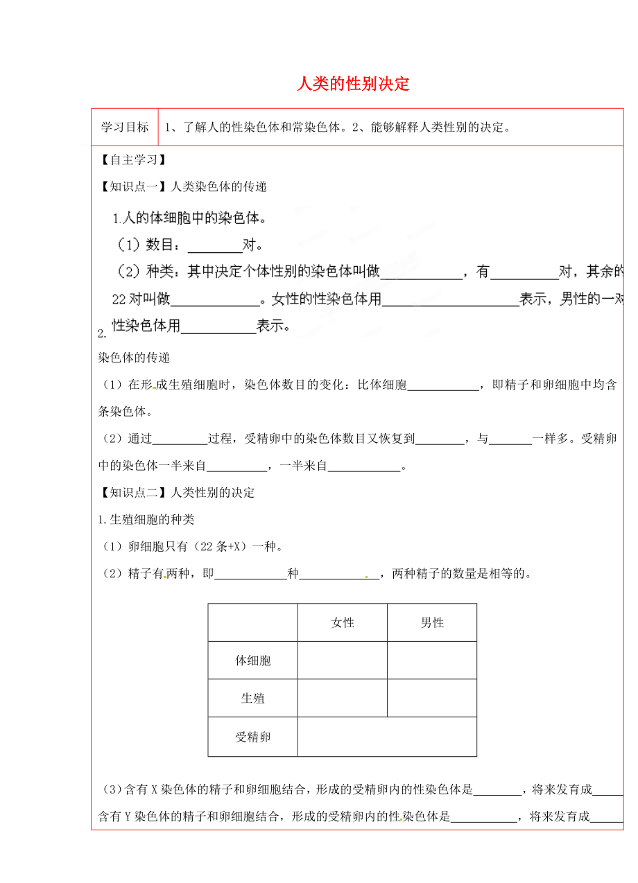 陜西省延川縣第二中學八年級生物下冊 人類的性別決定學案（無答案） 新人教版_第1頁