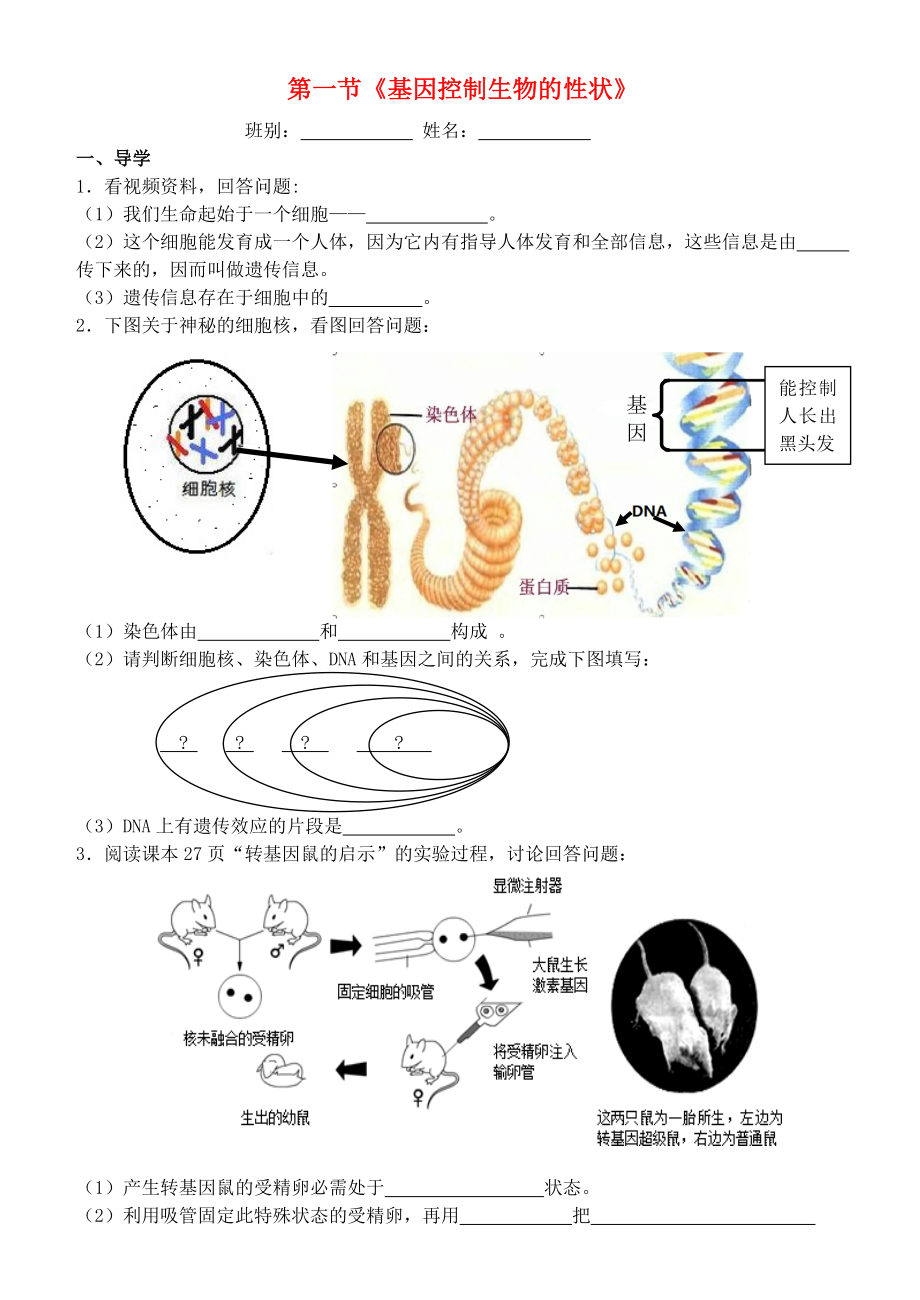 廣東省東莞市東莞可園中學(xué)2020年八年級生物下冊 第二批教學(xué)能手評選 7.2.1 基因控制生物的性狀學(xué)案（無答案）（新版）新人教版_第1頁