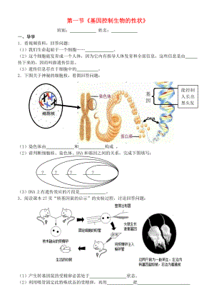 廣東省東莞市東莞可園中學(xué)2020年八年級(jí)生物下冊(cè) 第二批教學(xué)能手評(píng)選 7.2.1 基因控制生物的性狀學(xué)案（無(wú)答案）（新版）新人教版