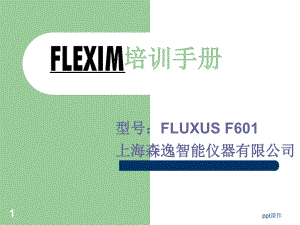 FLEXIM超声波流量计安装培训手册--课件